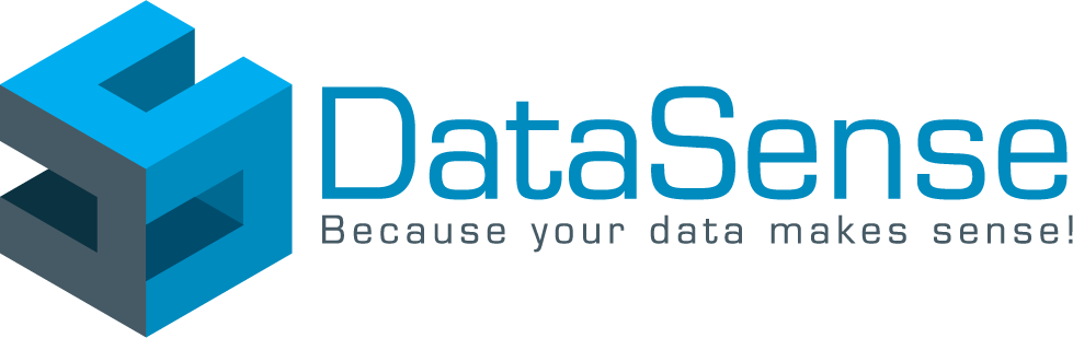 Logo DataSense